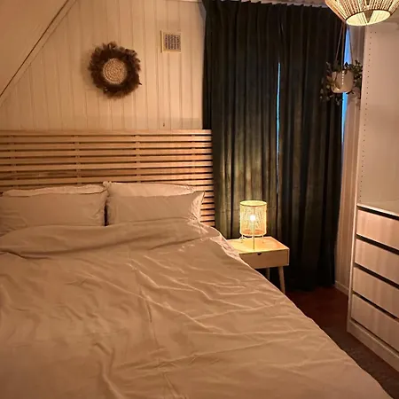 Cozy Floor *