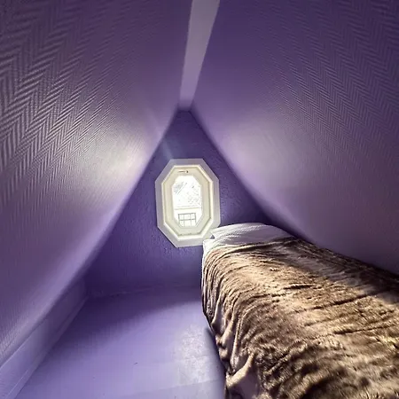 Cozy Floor * スタヴァンゲル